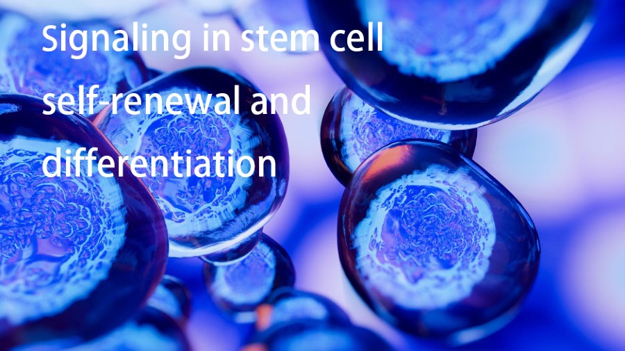 Cell Regeneration, Journal