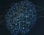 Cognitive neuroscience and artificial intelligence