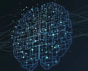 Cognitive neuroscience and artificial intelligence