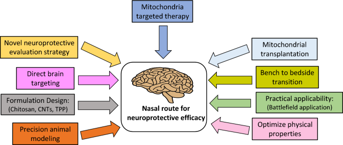 Image of a brain surrounded by labels