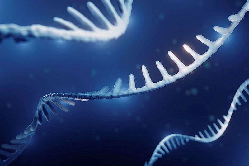 Home page | Algorithms for Molecular Biology