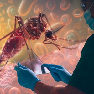 Home page | Virology Journal