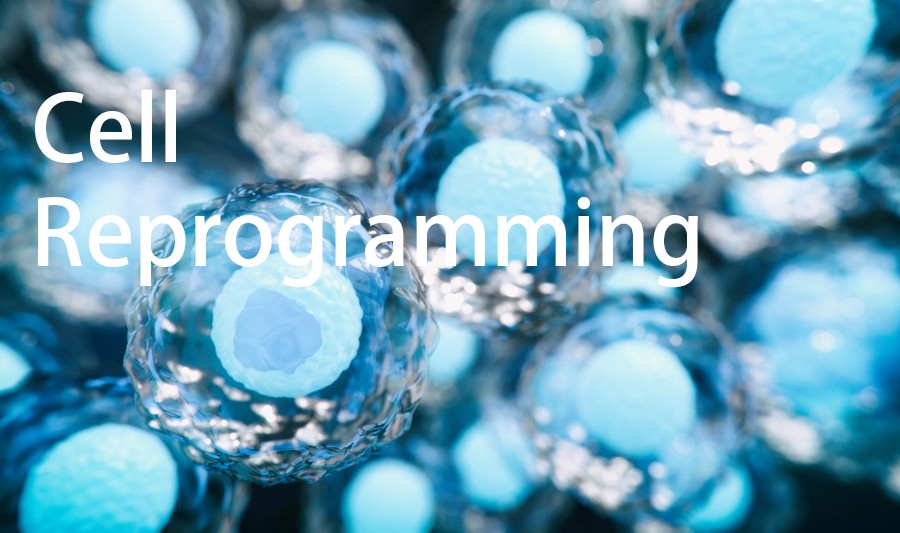 cell reprogramming image