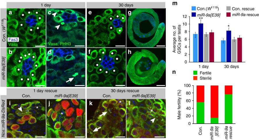 Fig 2 Nature Communications