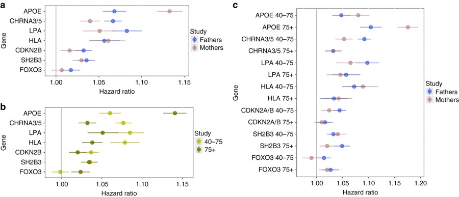 Age-specific and sex-specific effects of the 4 GWS associations in LifeGen and the validated candidate loci. The four GWS and three suggestive replicated loci were analysed for age-specific and sex-specific effects on lifespan. a The variants at APOE and CHRNA3/5 exhibit sexually dimorphic effects on parental mortality, while all other variants exhibit more modest often non-significant sex-specific differences. b The effects of each gene on male and female lifespan were meta-analysed and studied in the cases that died aged between 40 and 75 or after 75. APOE exerts a much greater effect in the older age group, while most of the other genes exhibit the opposite effect. FOXO3 appears neutral, if not positive, in the earlier age group. c Effects on mortality were studied in both age groups for both sexes. APOE has the strongest effect on females aged 75+, CHRNA3/5 acts on males aged 40−75 and all other genes display more ambiguous trends