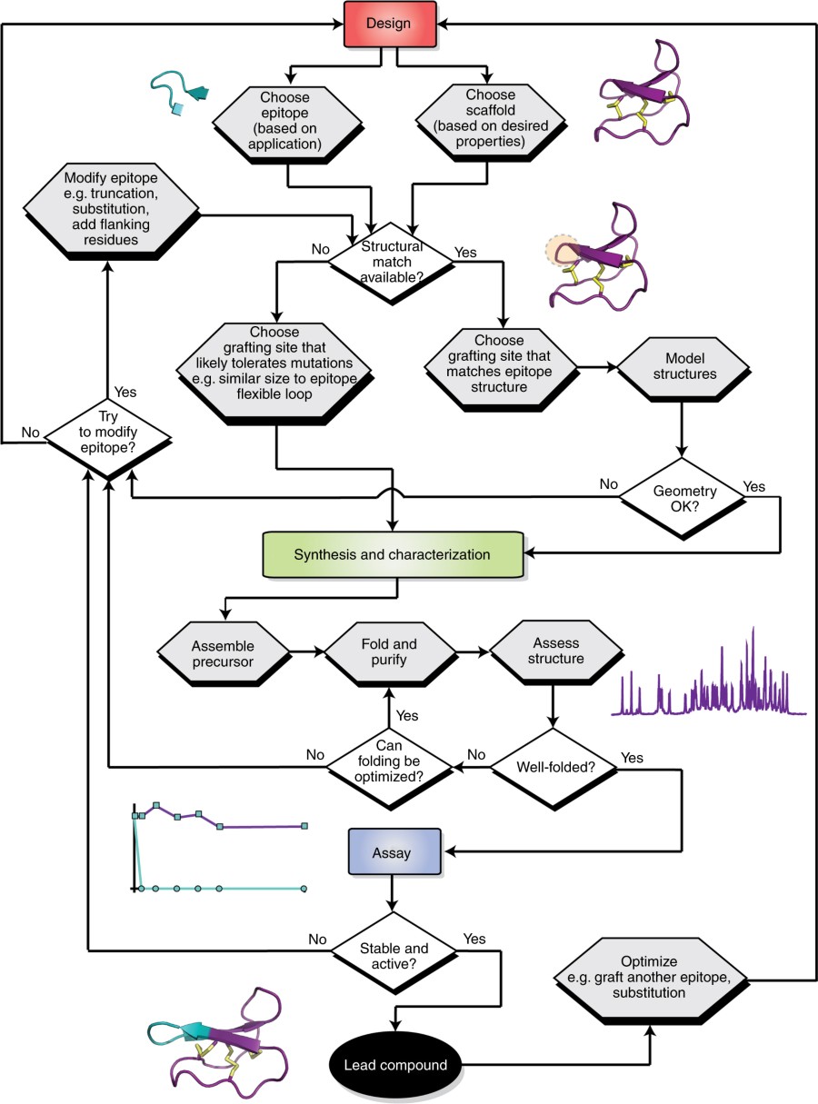 E Discovery Process Flow Chart