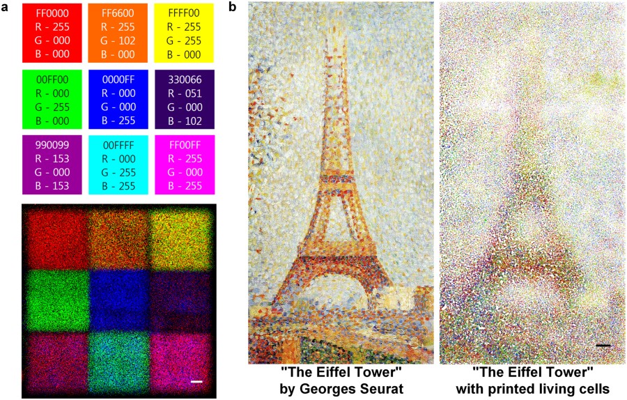 Ff0000 Color Chart