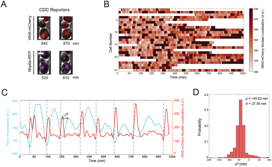 https://media.springernature.com/lw900/springer-static/image/art%3A10.1038%2Fs41598-018-35936-w/MediaObjects/41598_2018_35936_Fig2_HTML.png