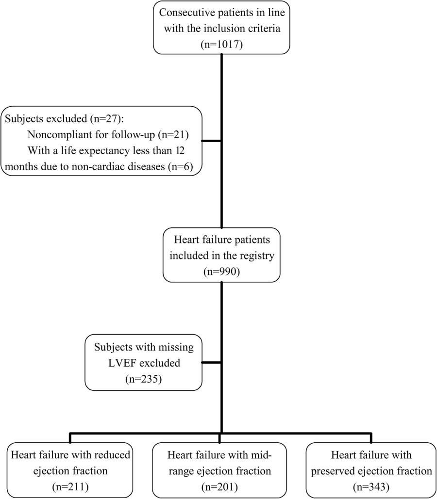 Ejection Fraction Range Chart