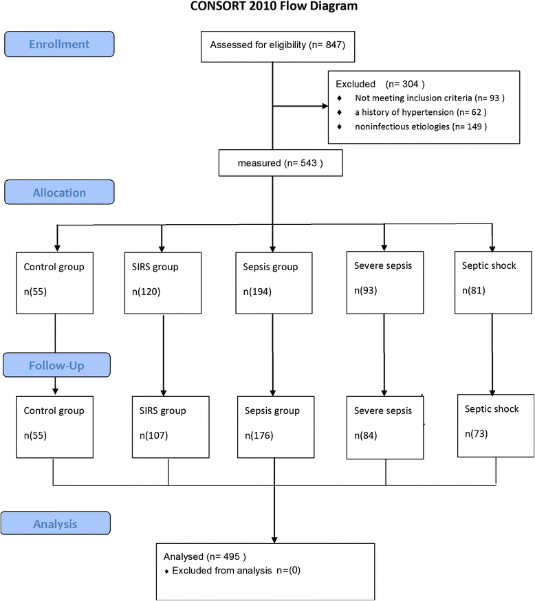 Inflammatory Response Flow Chart