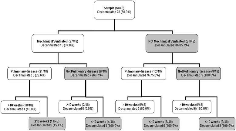 Mechanical Ventilation Chart