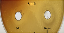 View full size image