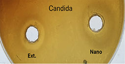 View full size image