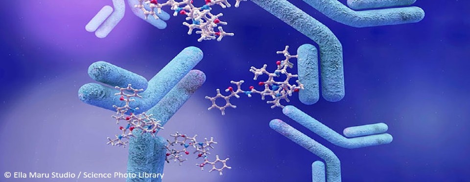 BMC Cancer Home page