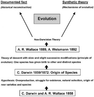 hypothesis the theory of evolution
