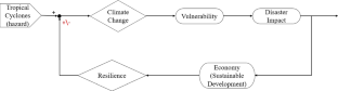 favorable outcome hypothesis in developing countries