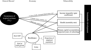 favorable outcome hypothesis in developing countries