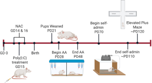 出生前感染が将来の大量飲酒リスクを増加 (Prenatal infection increases risk of heavy drinking later in life)