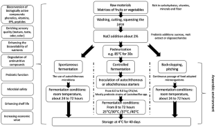 review of related literature of fermented plant juice pdf