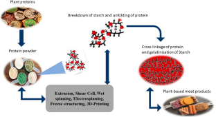 research paper on plant based meat