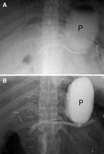 extended data figure 9