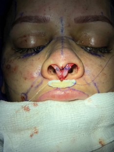 extended data figure 2