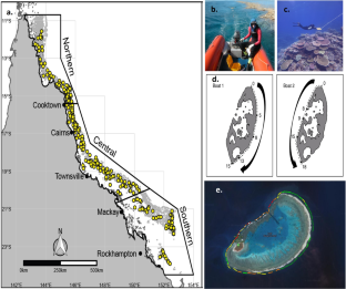 research articles about coral reefs