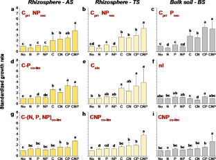 factorial experiment measures