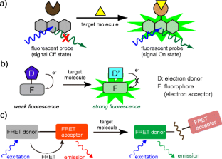 Small-molecule fluorophores and fluorescent probes for bioimaging