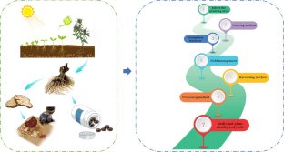 research paper on value chain analysis