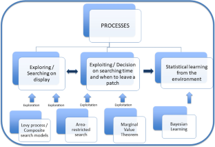 how to perform a systematic visual search