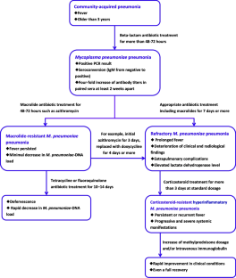 case study of pneumonia in child