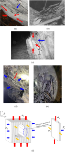 scholar who stressed experiment and observation