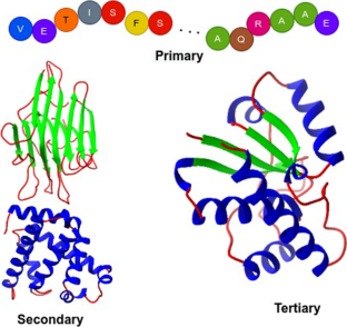 programming assignment residual networks 2021