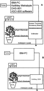 a study of how plants conduct electricity research