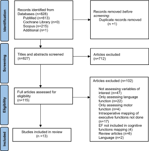 what is a function of literature review