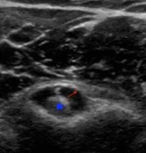 extended data figure 4