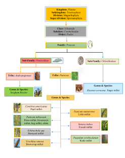 plant breeding and genetics research paper