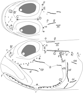 extended data figure 2