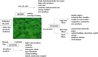 research paper on hemp