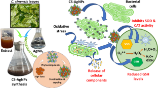 extended data figure 4