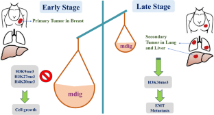 literature review of breast cancer metastasis