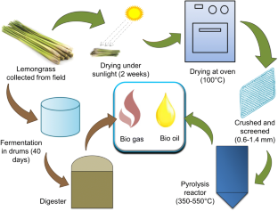 lemongrass research paper pdf