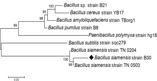 extended data figure 1