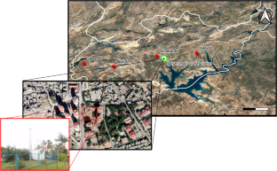 case study on air pollution in world