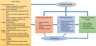 review of literature on food security in india