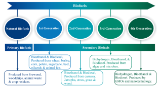 research on bio fuel