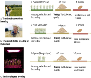 research paper for plant breeding