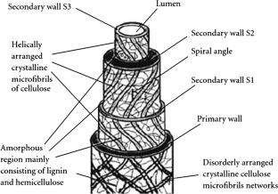 essay on natural fibres