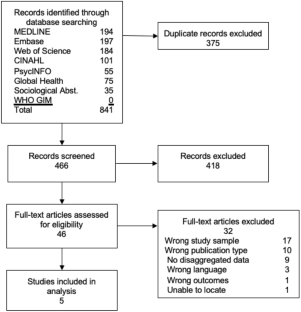 literature review on maternal health care